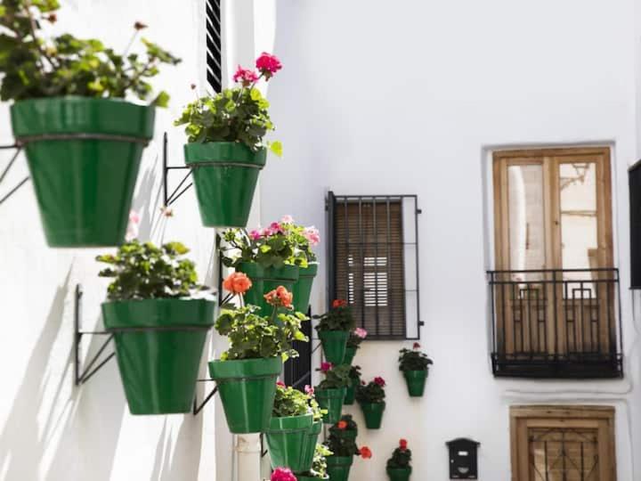 Apartamento En El Corazon De Las Alpujarras Carataunas エクステリア 写真
